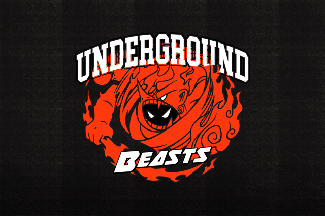 UNDERGROUND BIZNES